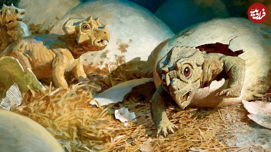 15 29