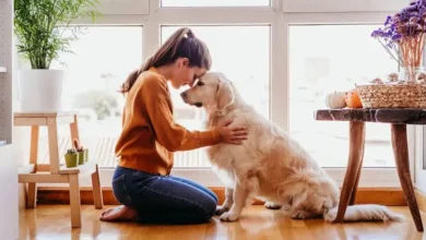 گوشی هوشمند مخصوص حیوانات خانگی