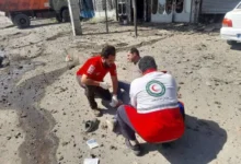 رضا صادقی