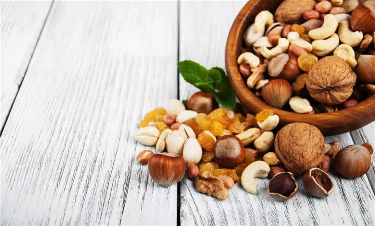 مغز