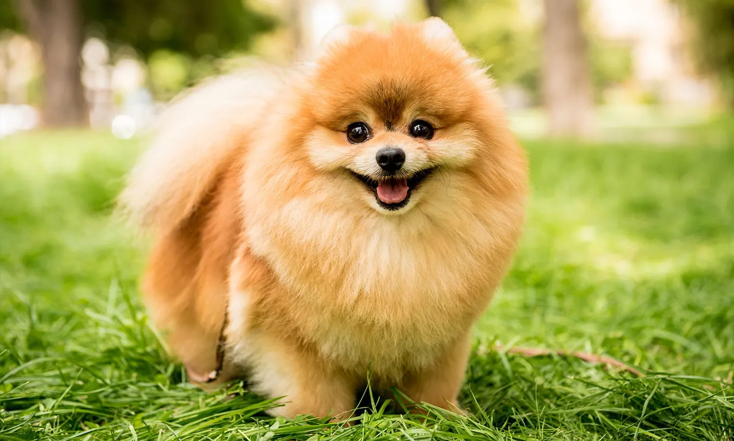 3 273