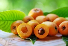 ازگیل