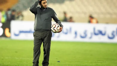امیر قلعه‌نویی