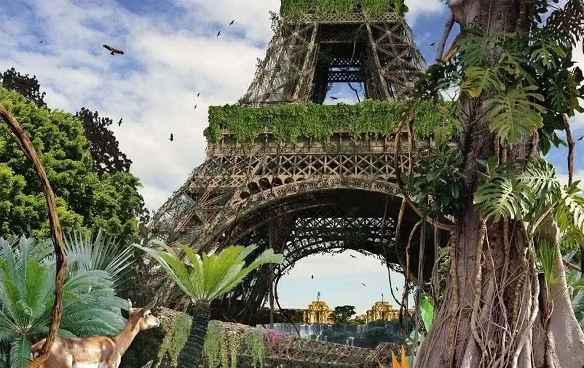 6 117