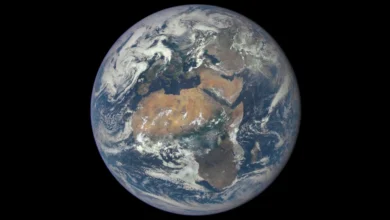 زمین