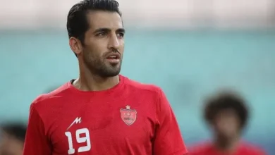 وحید امیری