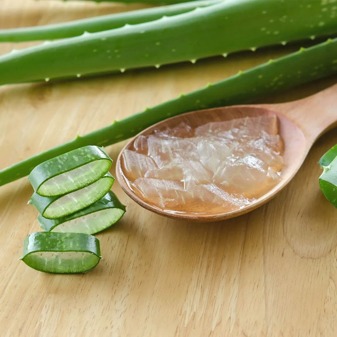 Aloe vera 2