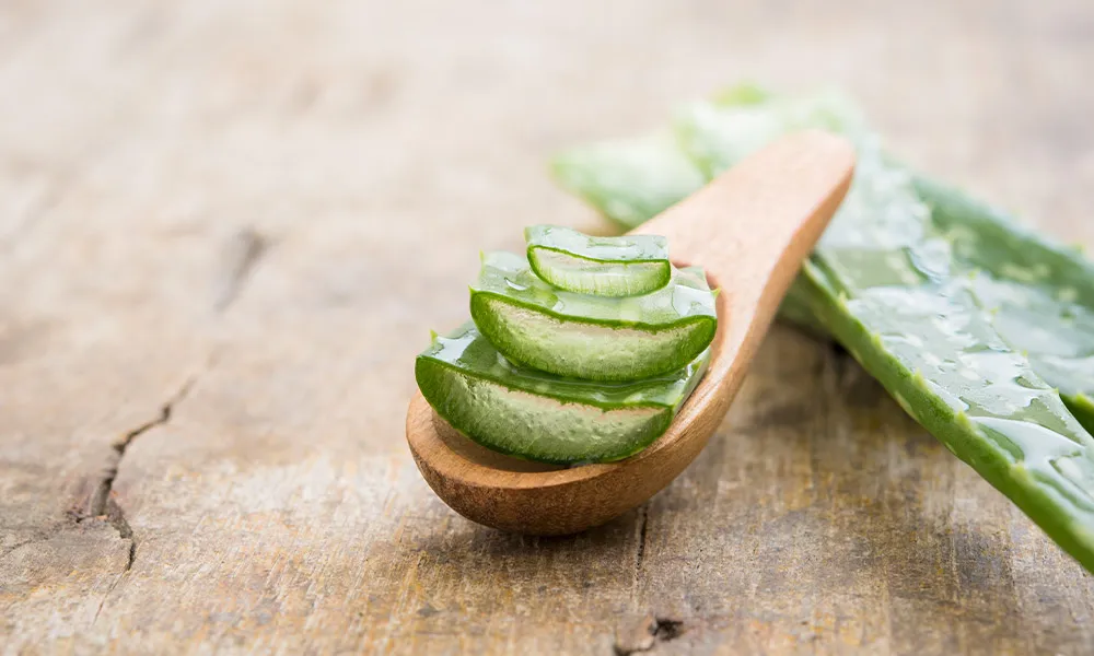 Aloe vera 3
