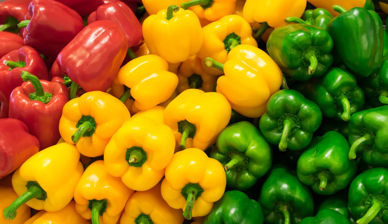 Bell pepper 1