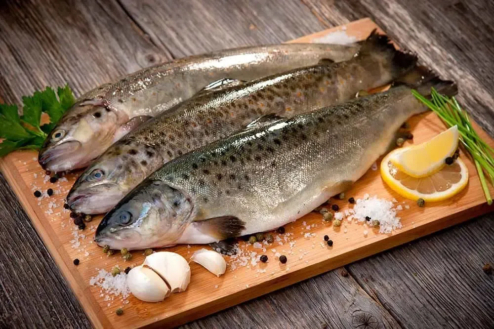 Fish 1