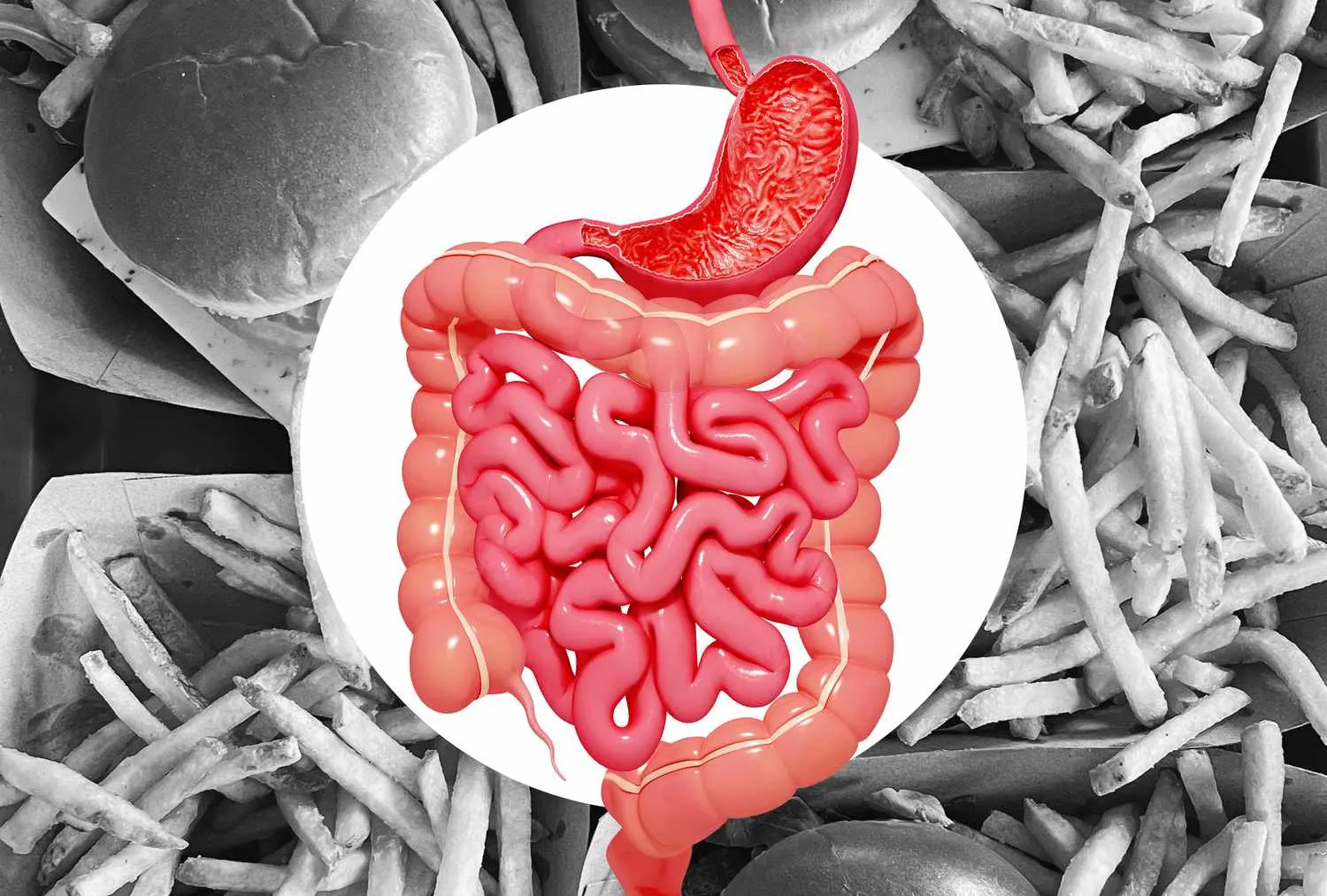 Gut health 3