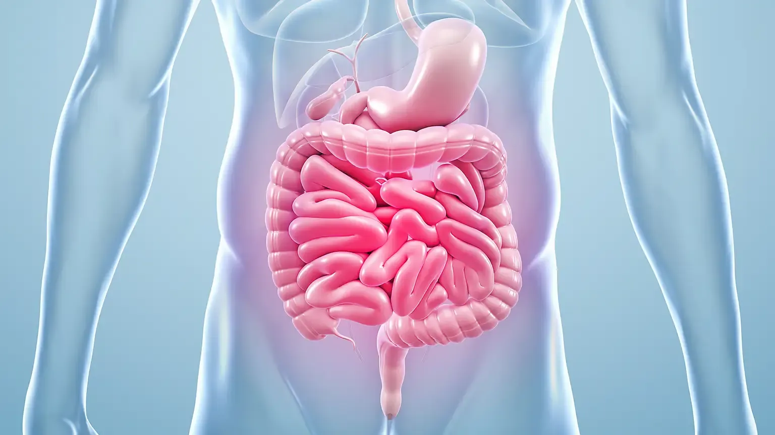 Gut health