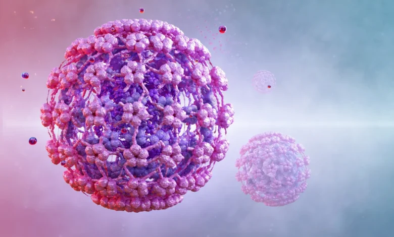 HPV