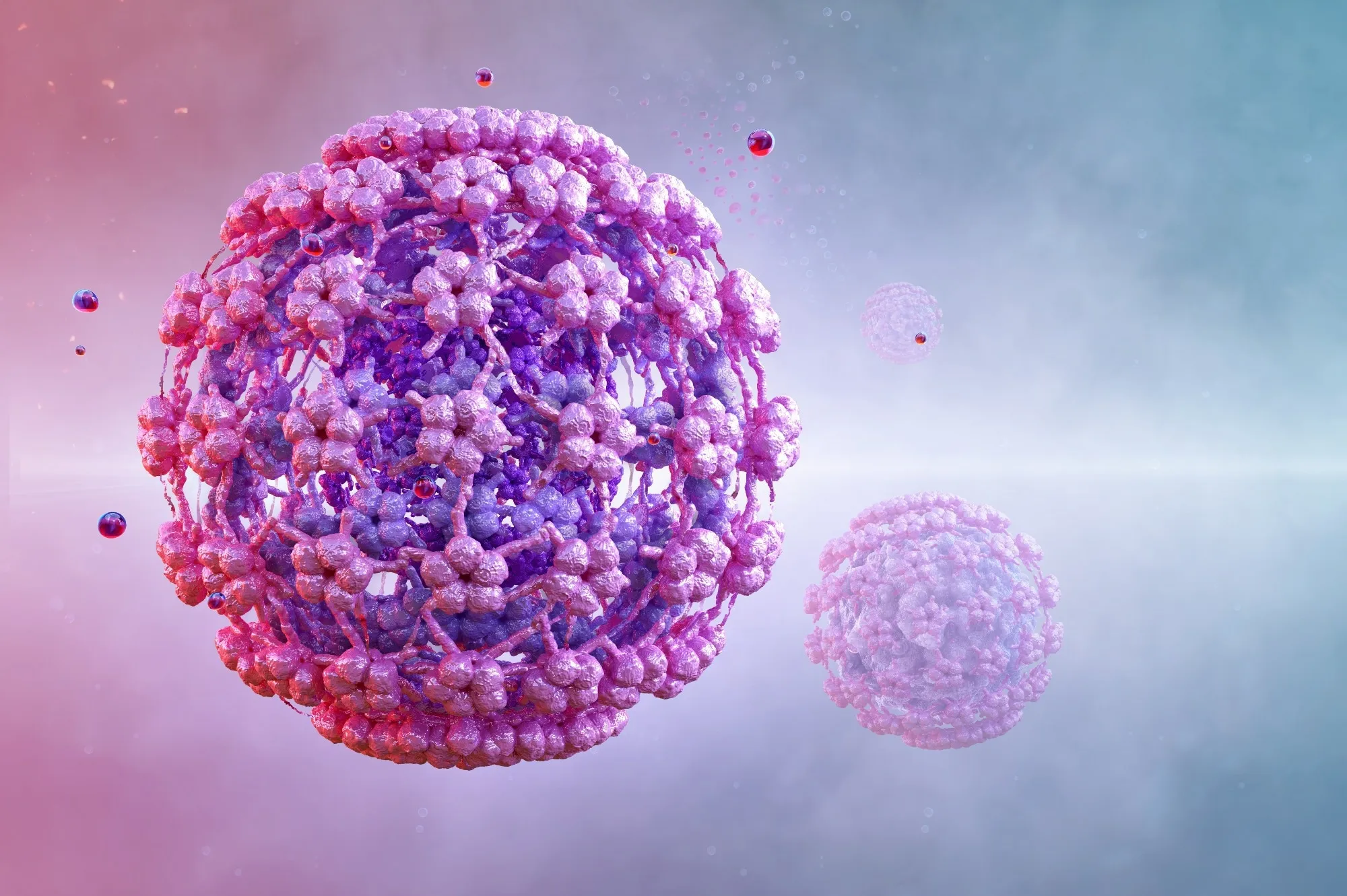 HPV