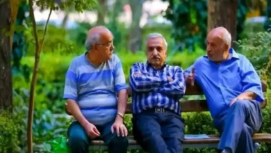 همسان‌سازی