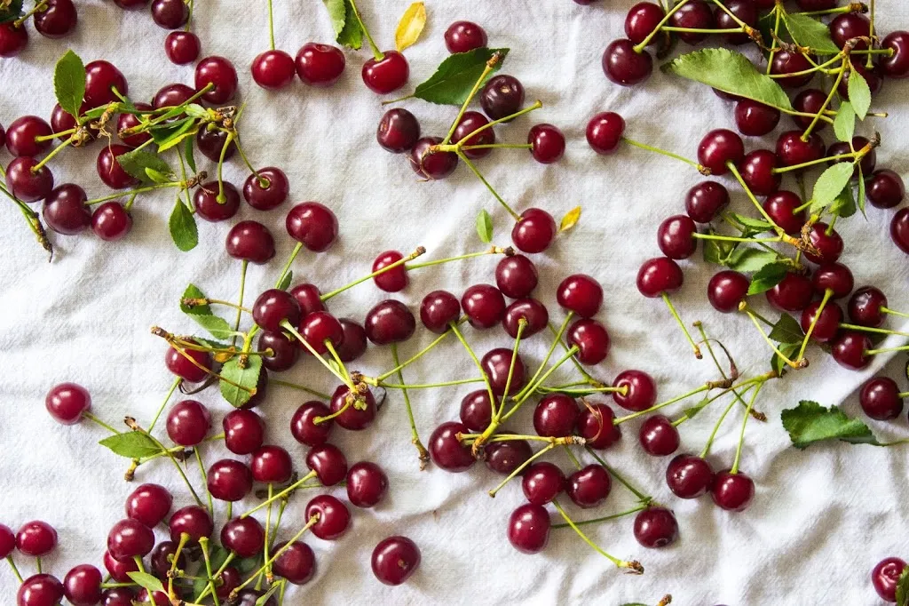 Sour Cherry 3