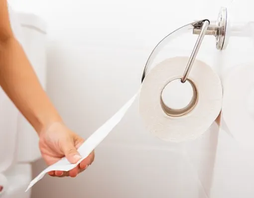 Toilet paper1
