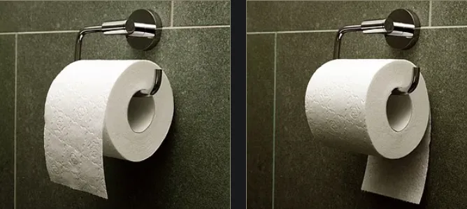 Toilet paper2