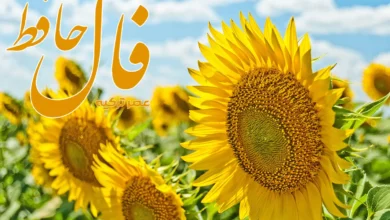 فال حافظ 14 خرداد 1404