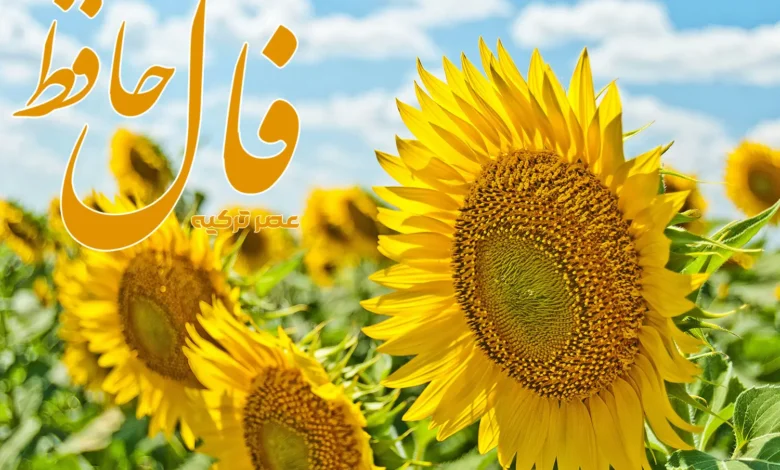 فال حافظ 14 خرداد 1404