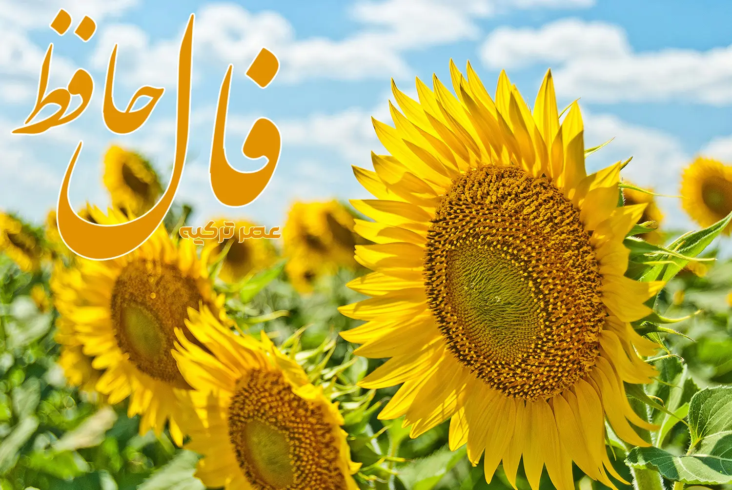 فال حافظ 14 خرداد 1404
