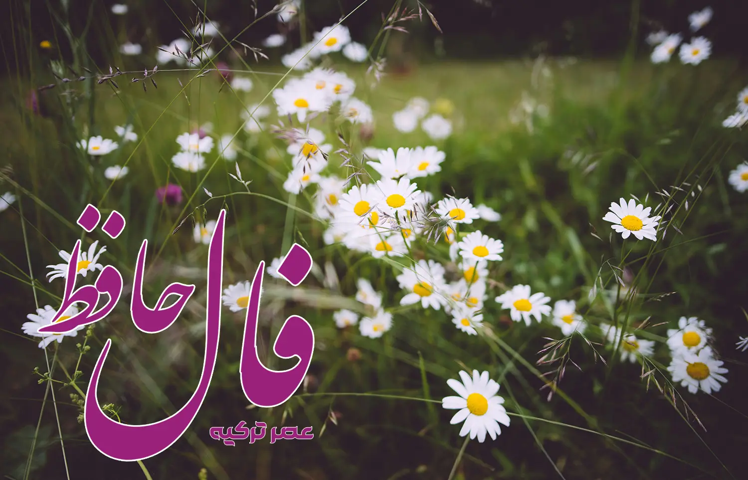 فال حافظ 17 خرداد 1404