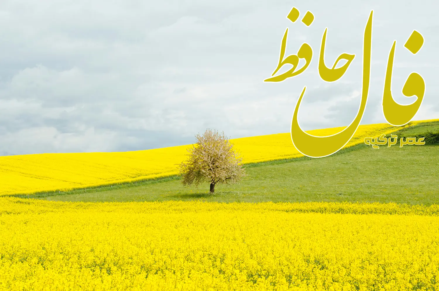 فال حافظ 19 خرداد 1404