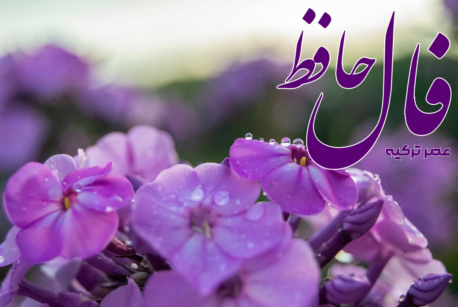 فال حافظ 2 تیر 1404