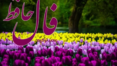 فال حافظ 21 خرداد 1404