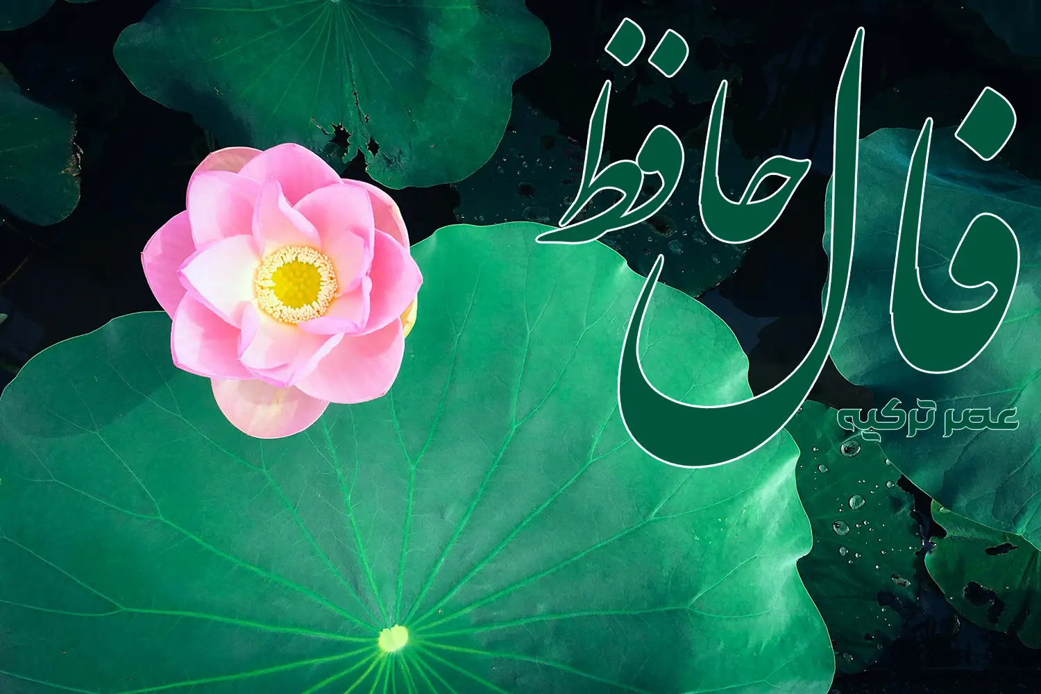 فال حافظ 22 خرداد 1404