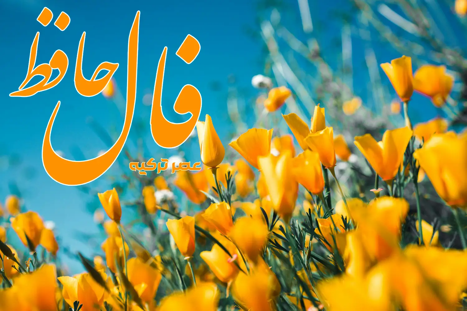 فال حافظ 23 خرداد 1404