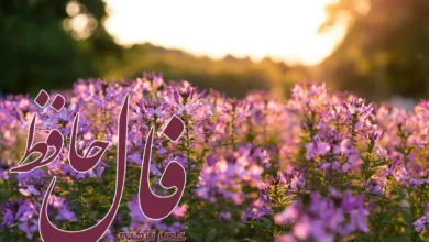 فال حافظ 24 خرداد 1404