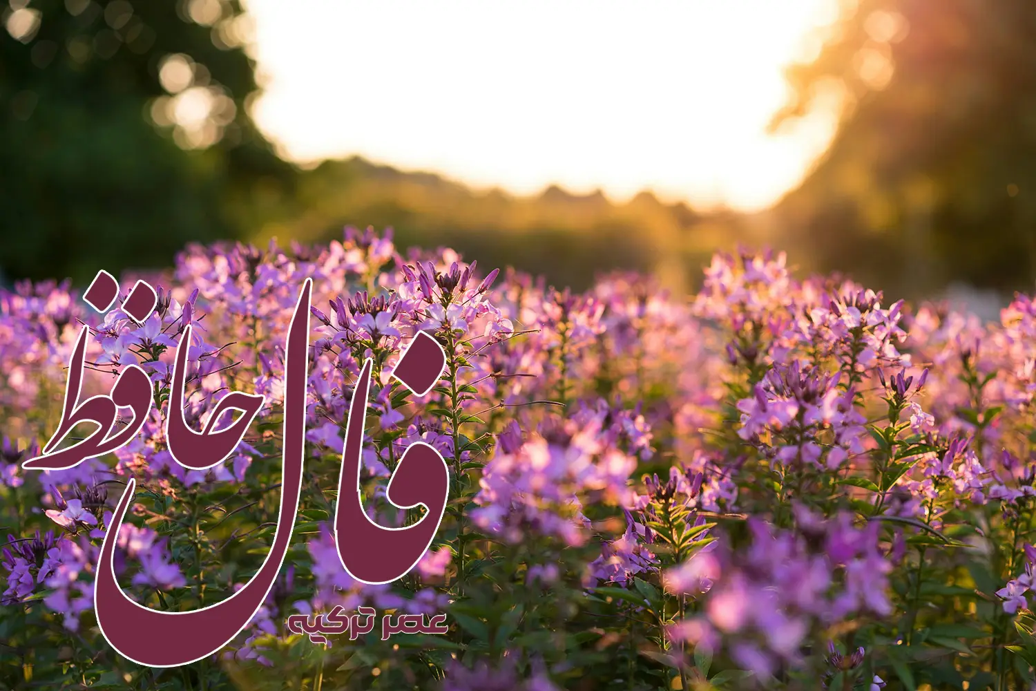 فال حافظ 24 خرداد 1404