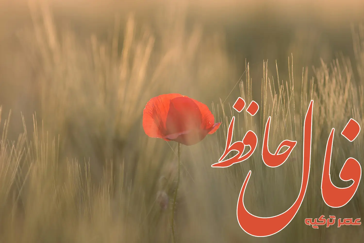 فال حافظ 25 خرداد 1404