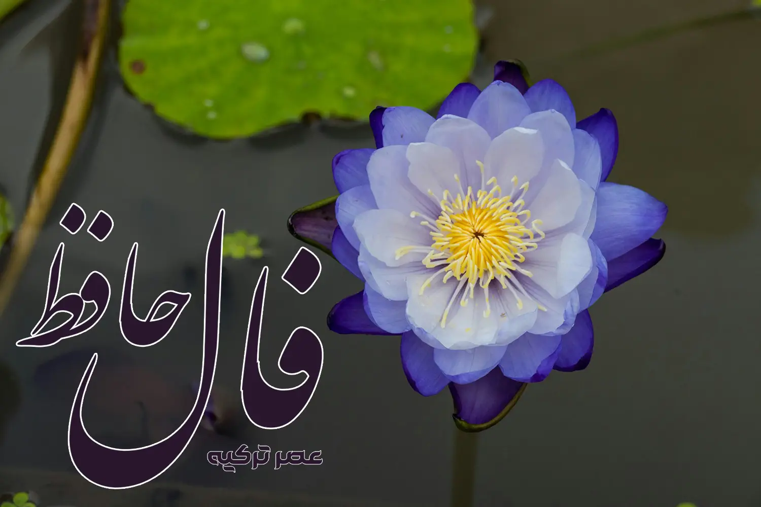 فال حافظ 27 خرداد 1404