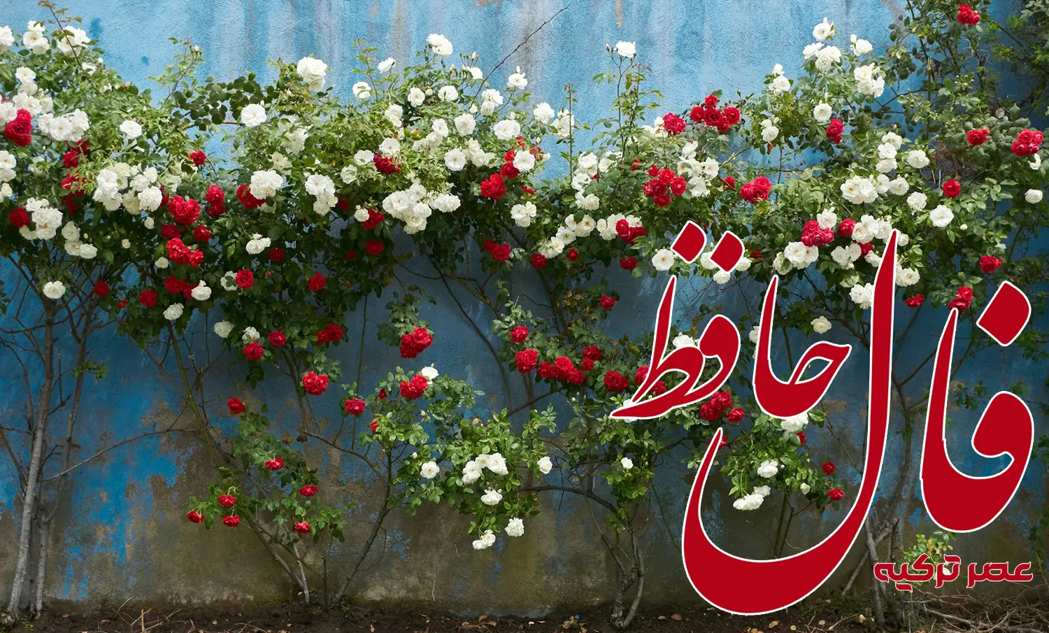 فال حافظ 28 خرداد 1404
