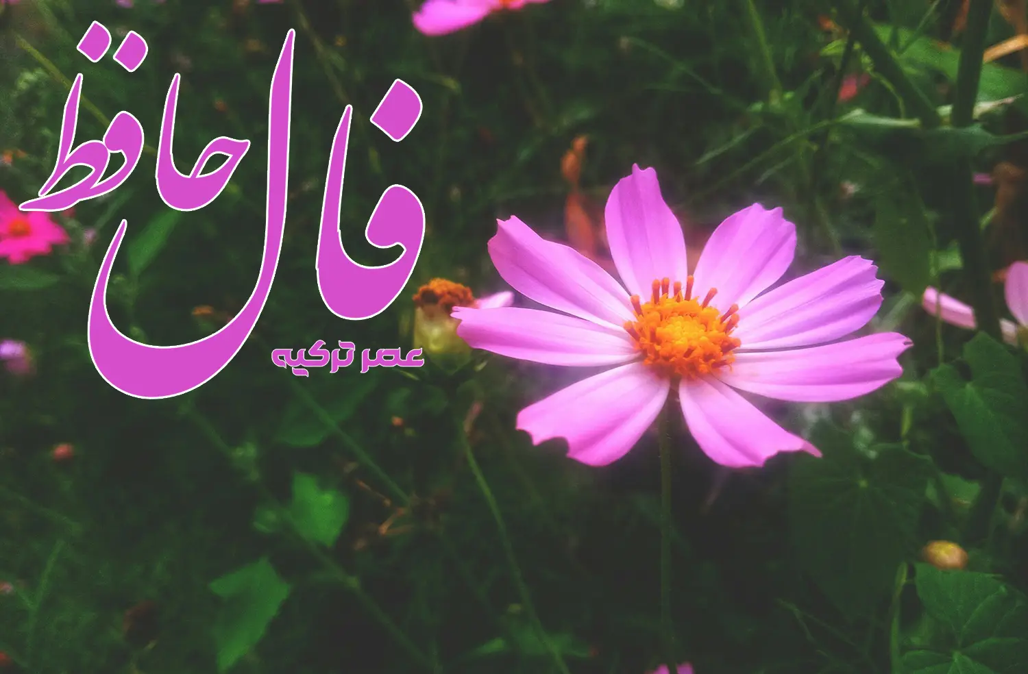 فال حافظ 30 خرداد 1404