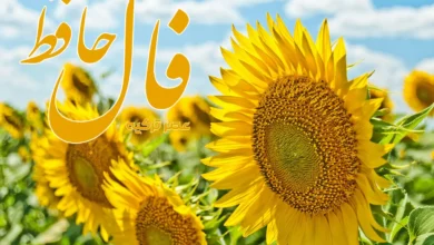 فال حافظ 31 خرداد 1404