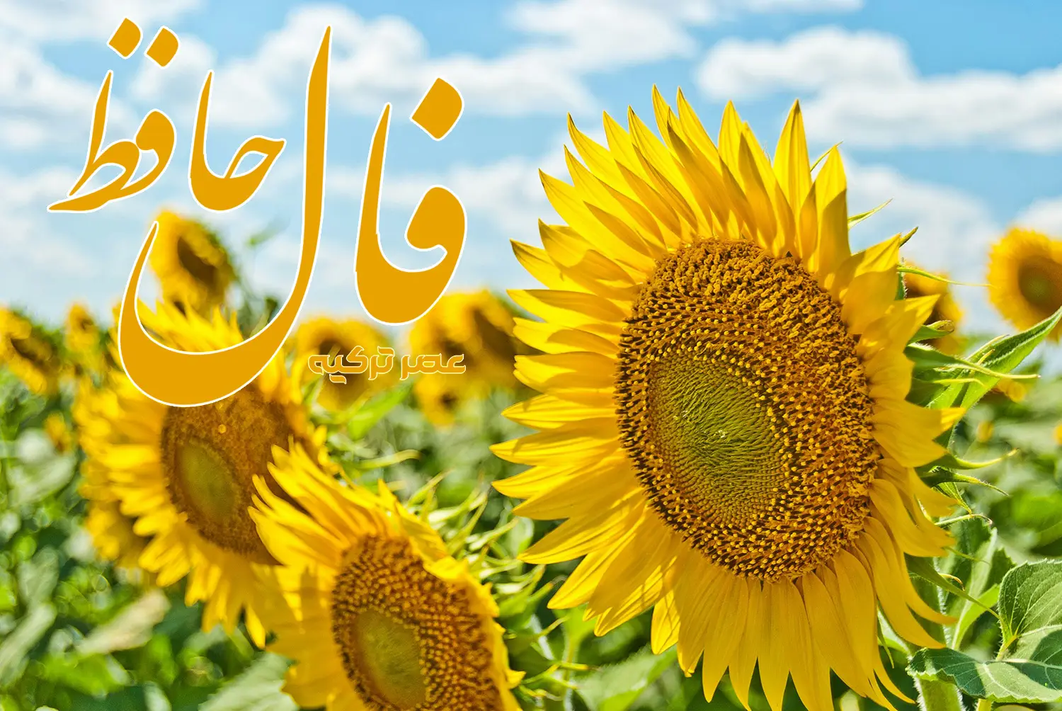 فال حافظ 31 خرداد 1404
