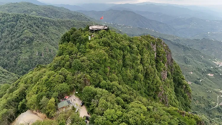 جنگل یوروز 2