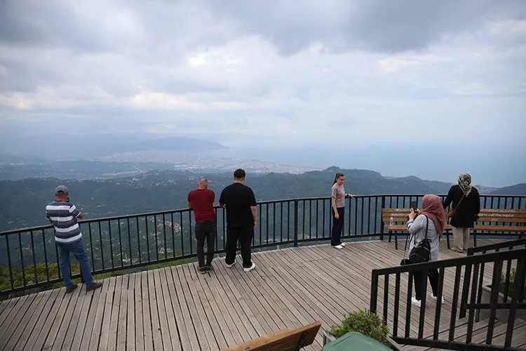 جنگل یوروز 3