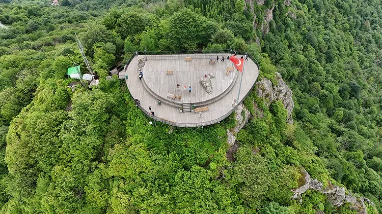 جنگل یوروز 5