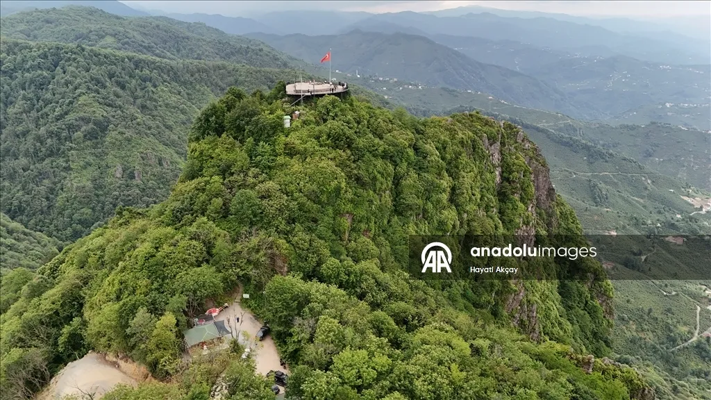 جنگل یوروز 6