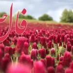 فال حافظ 10 تیر 1404