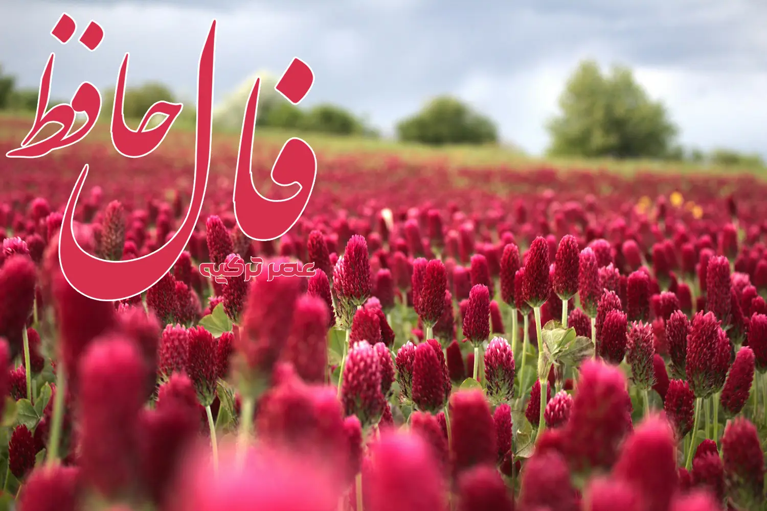 فال حافظ 10 تیر 1404