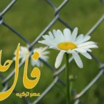 فال حافظ 12 تیر 1404