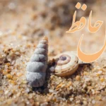 فال حافظ 13 تیر 1404