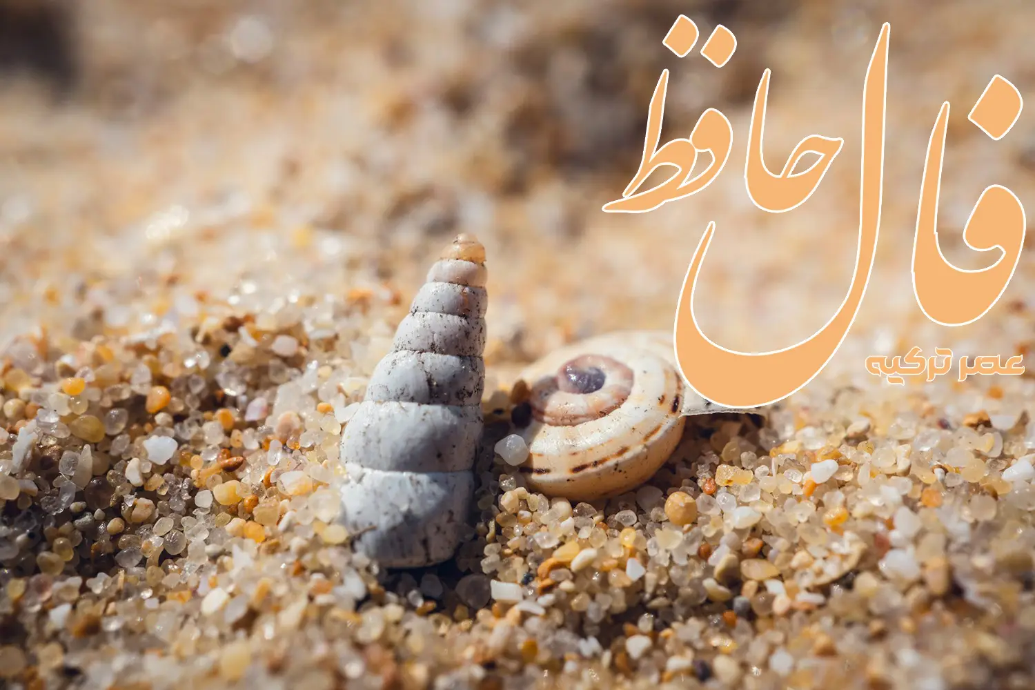 فال حافظ 13 تیر 1404