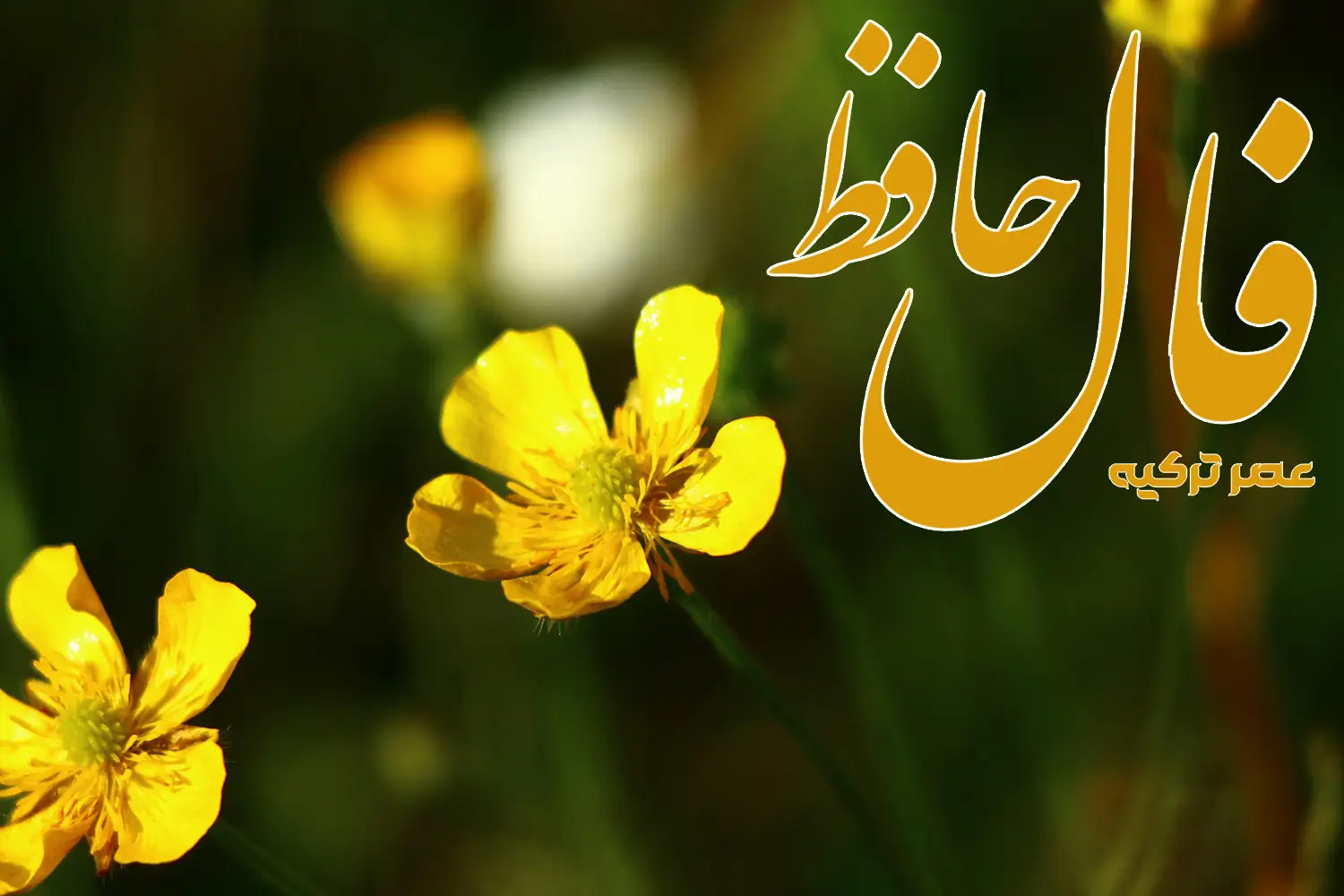 فال حافظ 14 تیر 1404