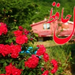 فال حافظ 15 تیر 1404